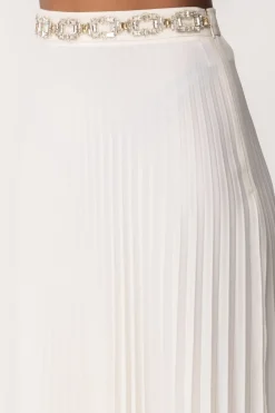 Elisabetta Franchi Gonna Lunga Plissettata con RicamoBURRO