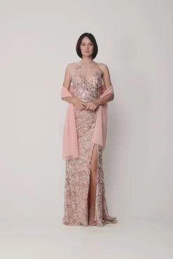 Fabiana Ferri Abito Lungo con Paillettes e Accessorio Di PiumeROSA