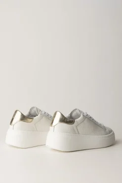 Twin-set Sneakers con Inserto GoldBIC.OTTICO/ORO